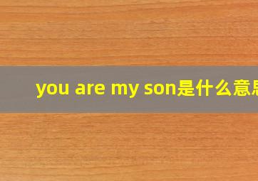 you are my son是什么意思